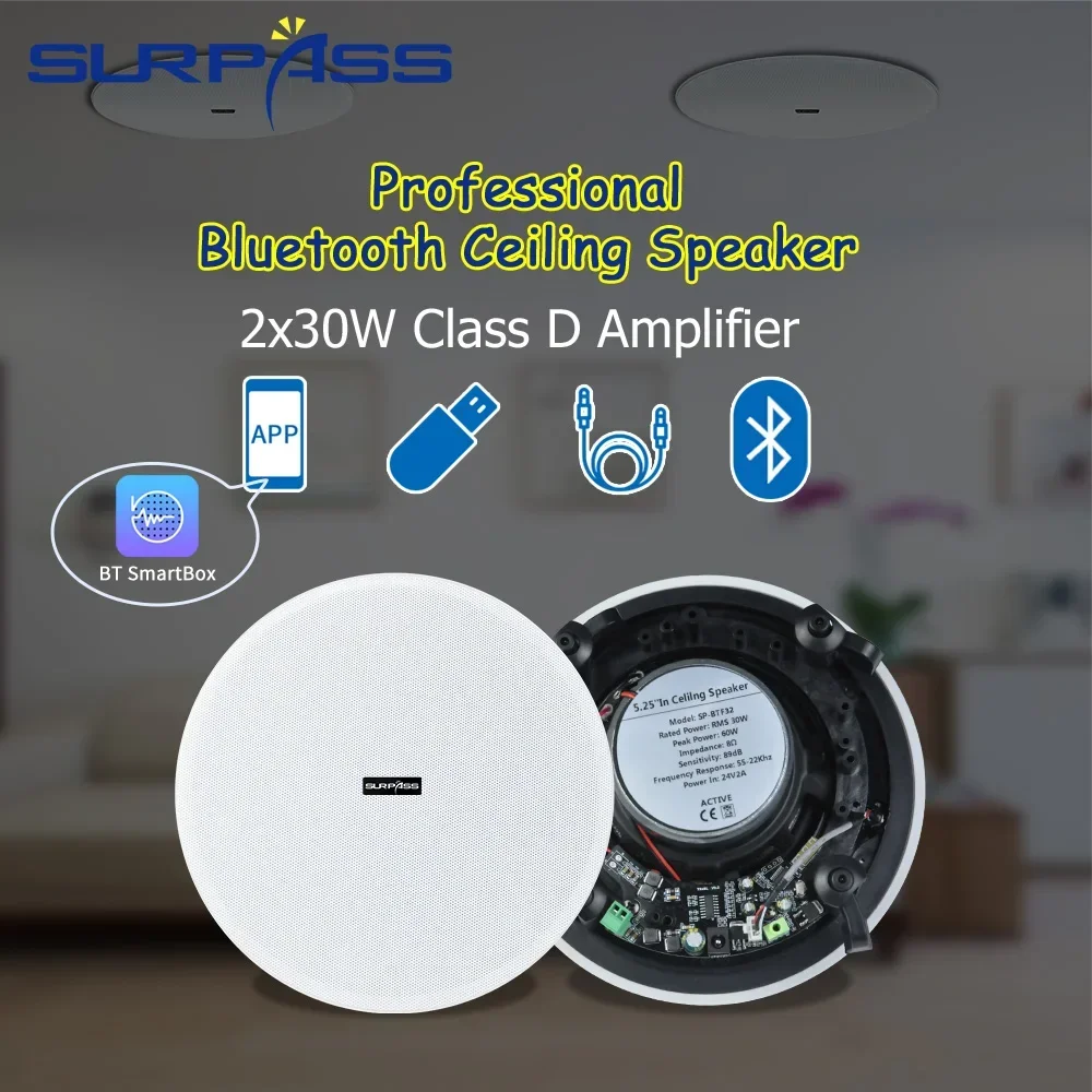 Home Cinema Bluetooth 5.1 - Altoparlante Bluetooth da soffitto 5.25'' Amplificatore