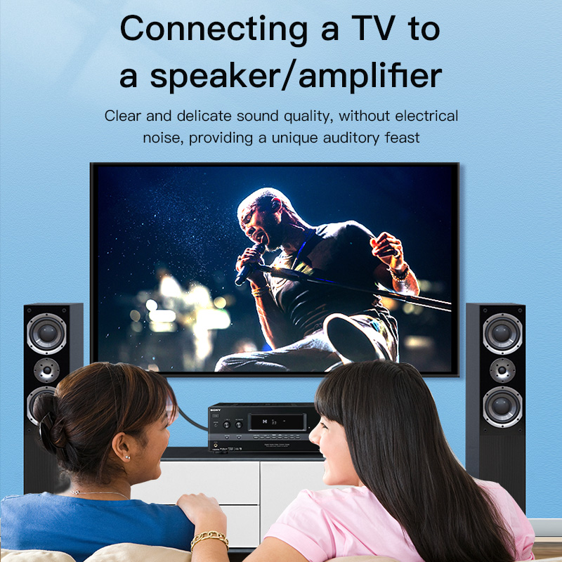 CHOSEAL Cavo RCA Digitale Coas - Home Cinema Subwoofer recensione e prezzo
